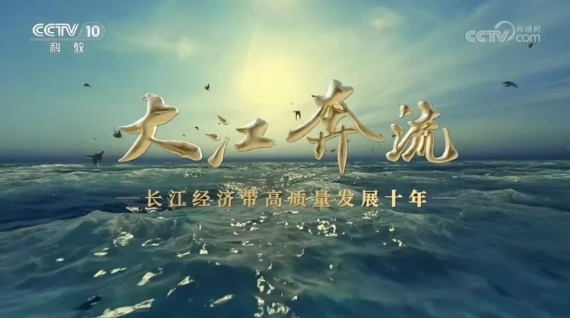中国国土经济学会理事长肖金成接受中央广播电视总台采访